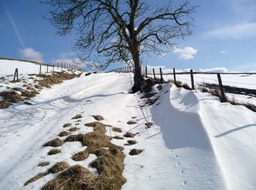 Drifts2