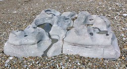 OgmoreRock