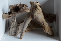 WoodBoxed